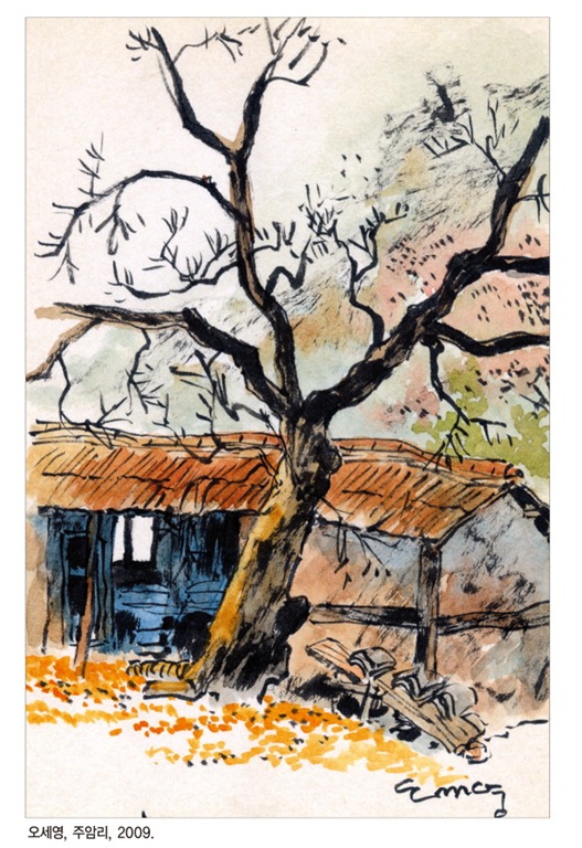 지난 9개월간의 카페 회원 분석 및 회원 정리에 대한 소고