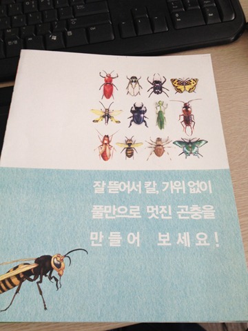 A4 종이공작 곤충책 교정판