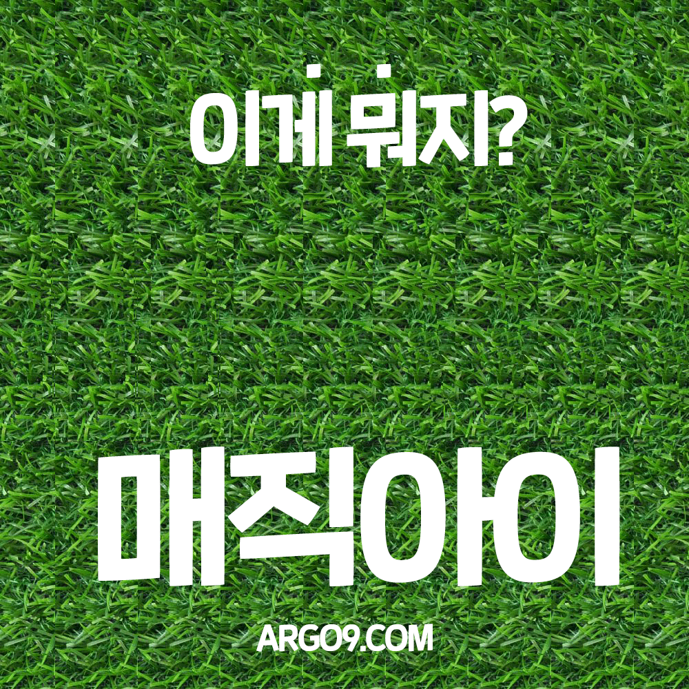 애니메이션 매직아이