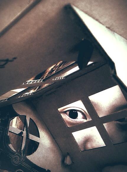 진격의 셀리나 ㅎㅅㅎ