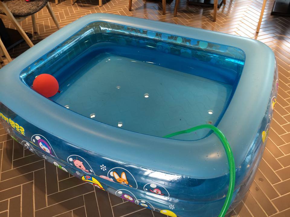 실내풀은 베란다로 옮겨서 풍덩거리고 놀 예정… 청소부터 ^^