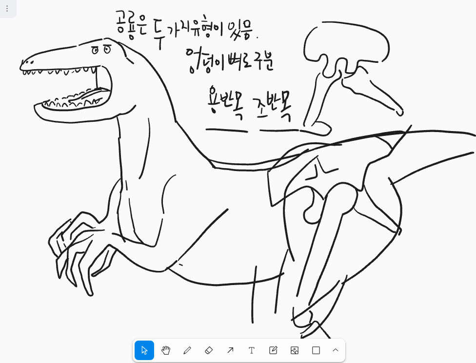 공룡 공부… 골반으로 나누는 공룡